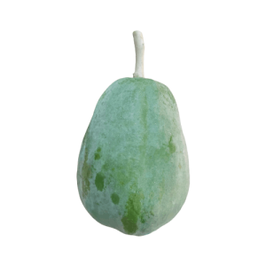 দেশি পেঁপে ১ টা 1+ Pcs/kg